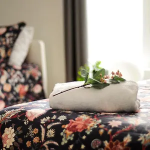 https://le-1808-spacieux-avec-balcon-nord-de-quebec.hotelsquebeccity.net